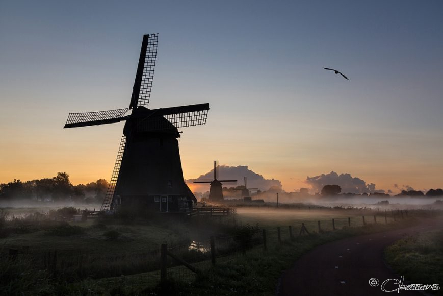 sunrise windmill
