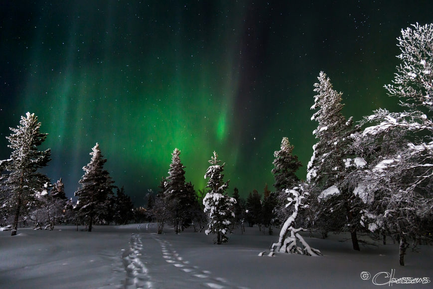 Northern Lights Lapland